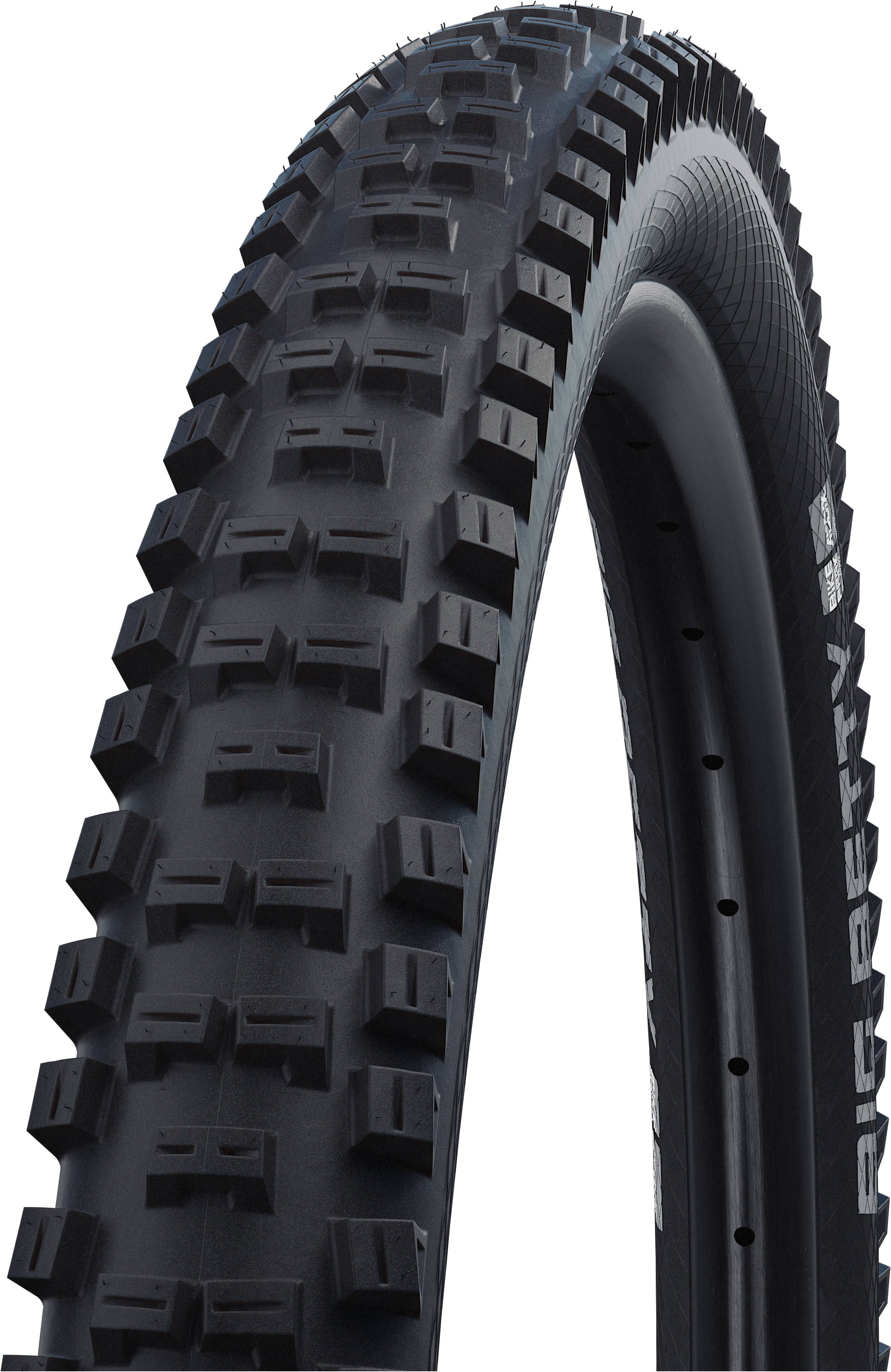 SCHWALBE plášť BIG BETTY 62-559, 26 x 2.40,BikePark TwinSkin, černá